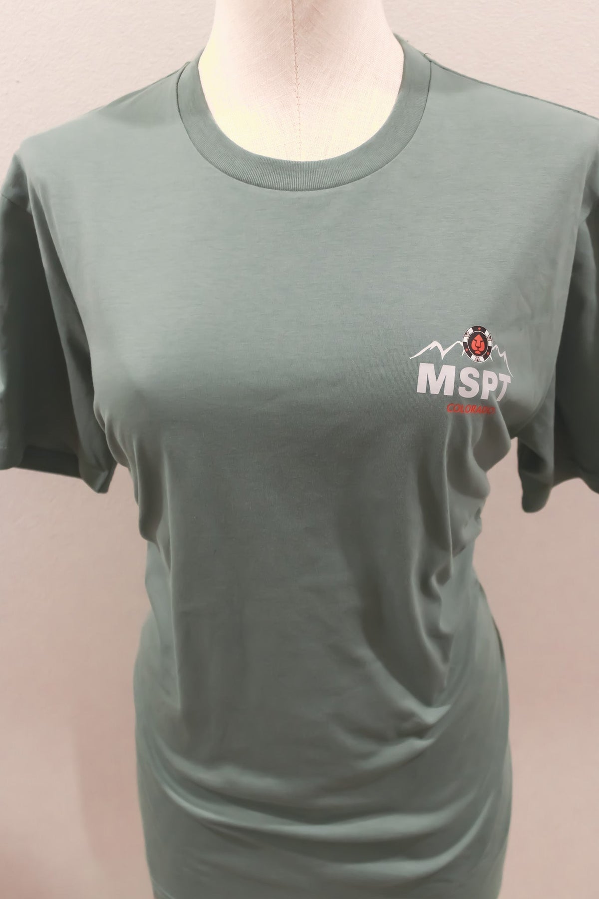 Colorado MSPT Tee in Sage Green - Tilted Compass